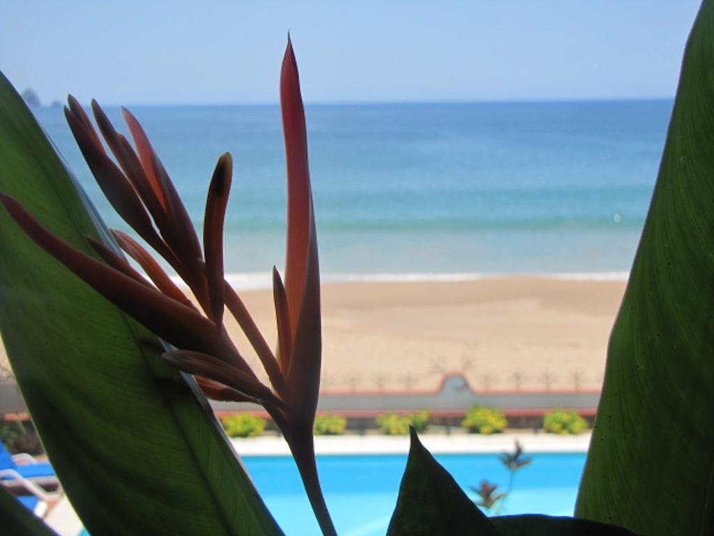 Hotel La Paloma Oceanfront Retreat San Patricio - Melaque Zimmer foto
